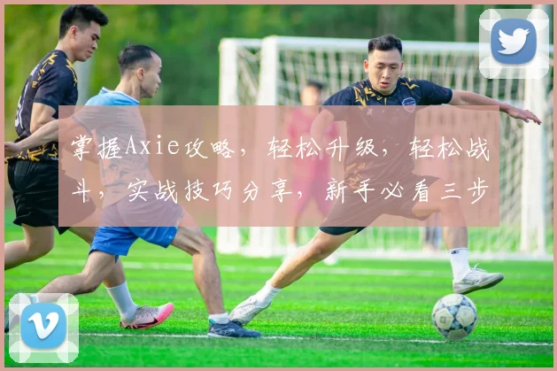 掌握Axie攻略，轻松升级，轻松战斗，实战技巧分享，新手必看三步走