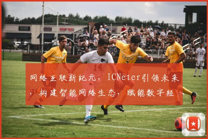 网络互联新纪元，ICNeter引领未来，构建智能网络生态，赋能数字经济时代。