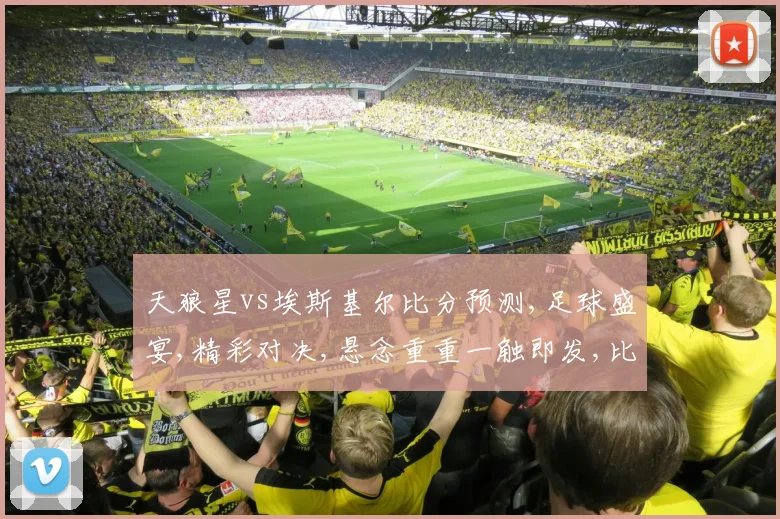 天狼星vs埃斯基尔比分预测,足球盛宴,精彩对决,悬念重重一触即发,比分揭晓