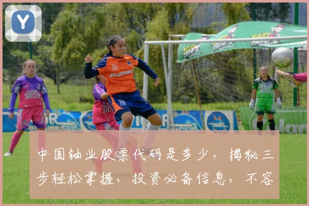 中国铀业股票代码是多少，揭秘三步轻松掌握，投资必备信息，不容错过