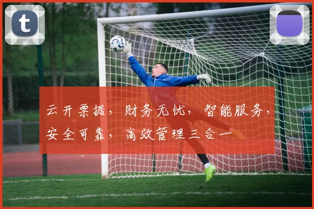 云开票据，财务无忧，智能服务，安全可靠，高效管理三合一